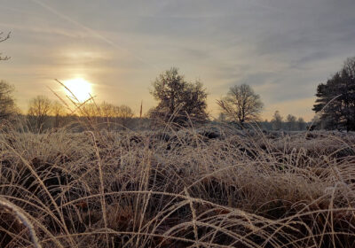 Winter Hillig Meer